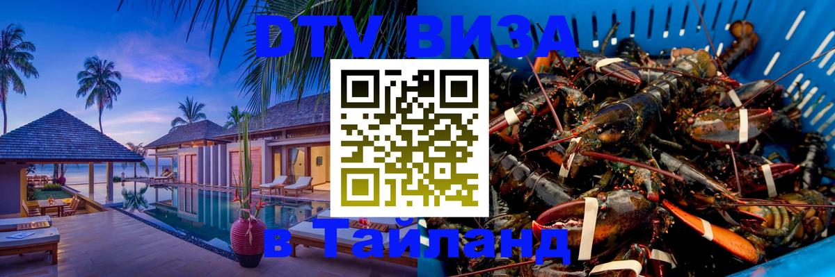 Сколько стоит DTV виза — актуальные цены, оформление даже без документов - 19.11.2025 